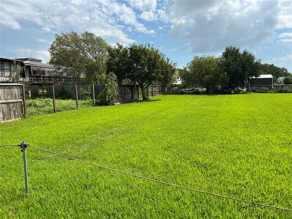 a view of a field of grass and trees