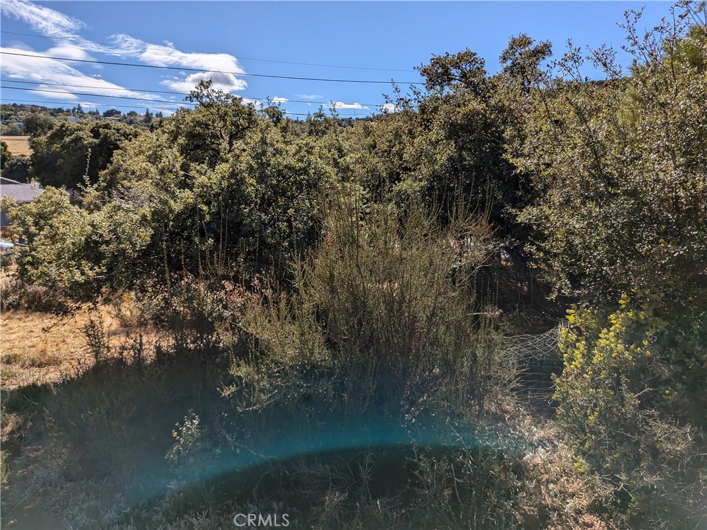 a view of a lake in middle of forest