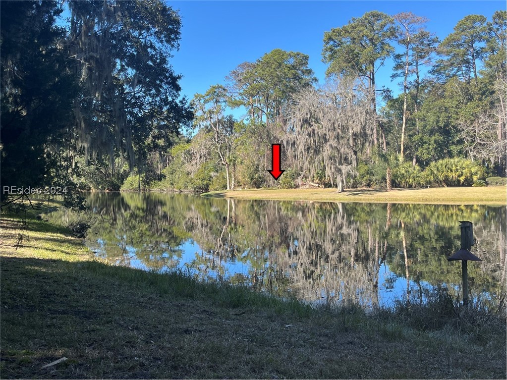 Backyard Pond Views