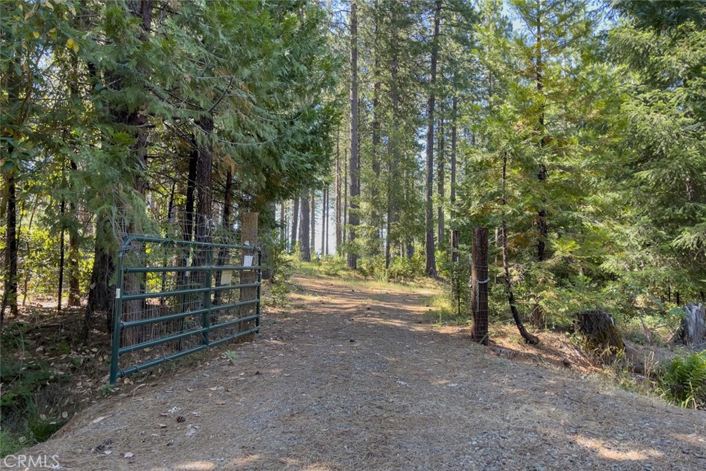 a view of outdoor space and trees