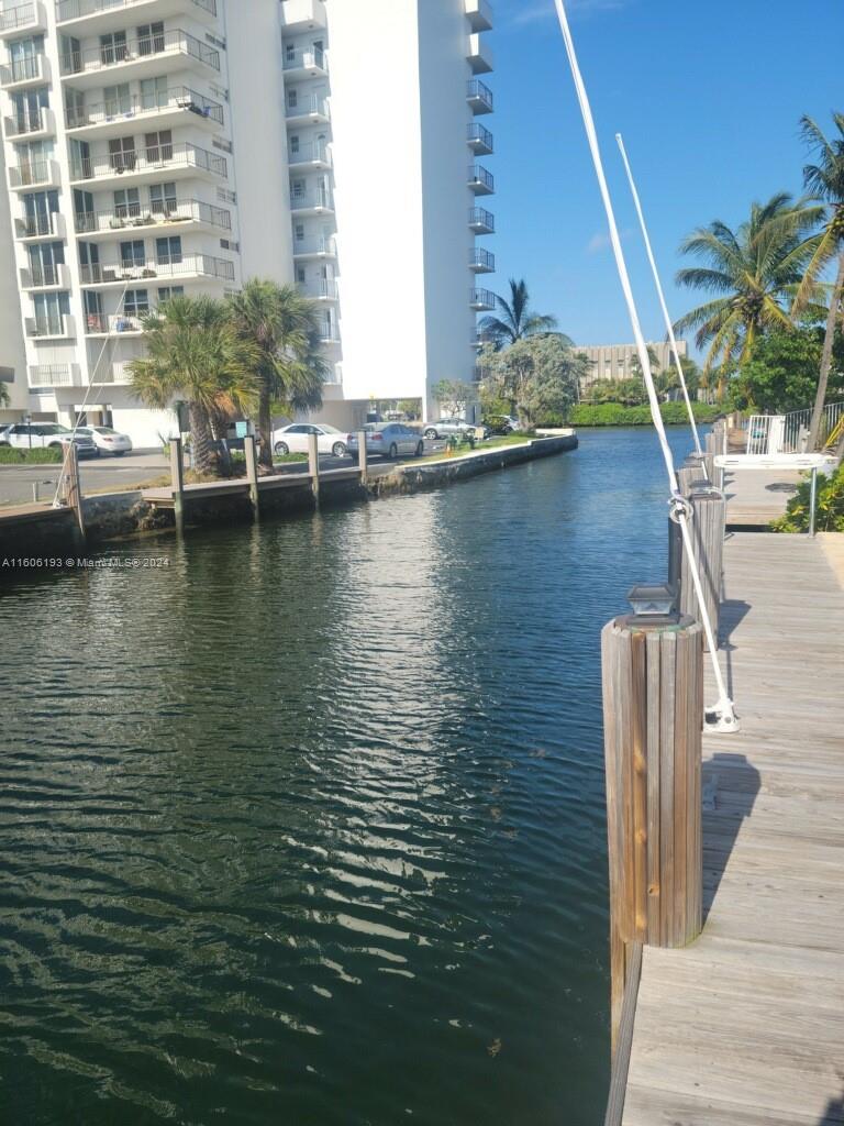 a view of a water with palm trees