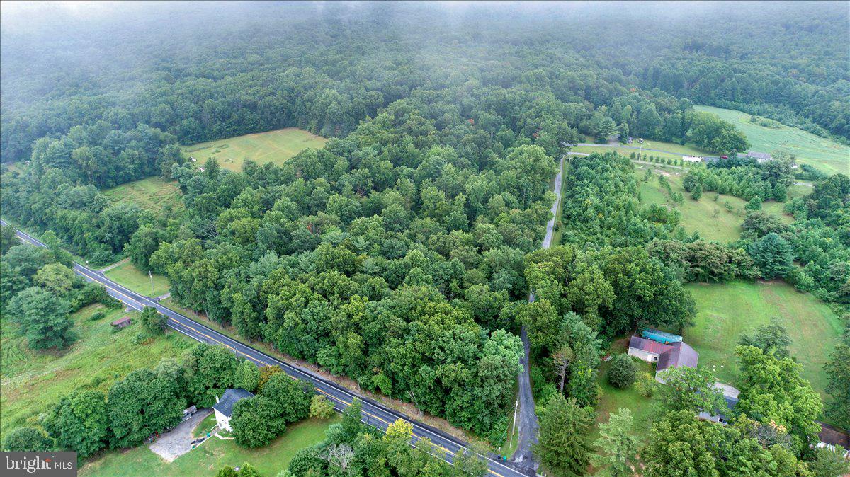 a view of a forest from a balcony