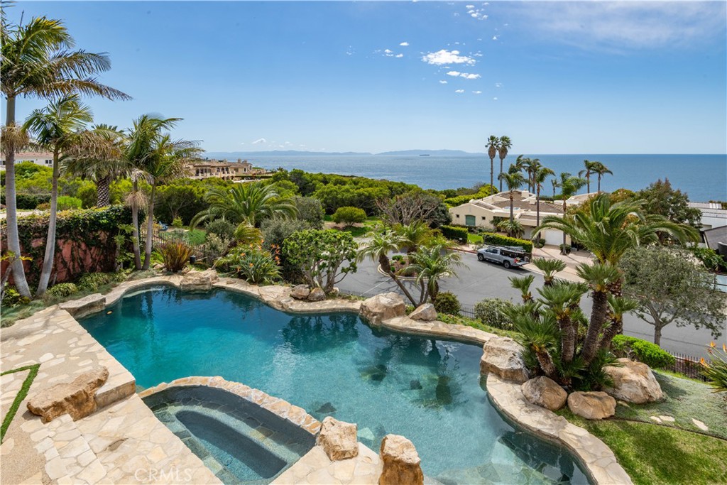 a view of a swimming pool with a yard and potted plants