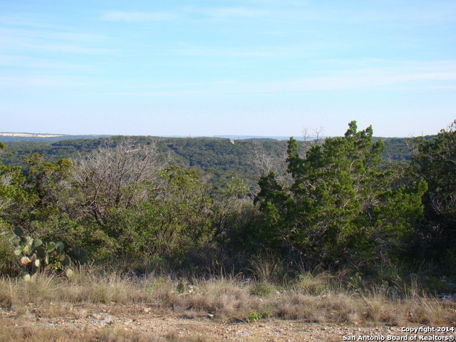 a view of a yard