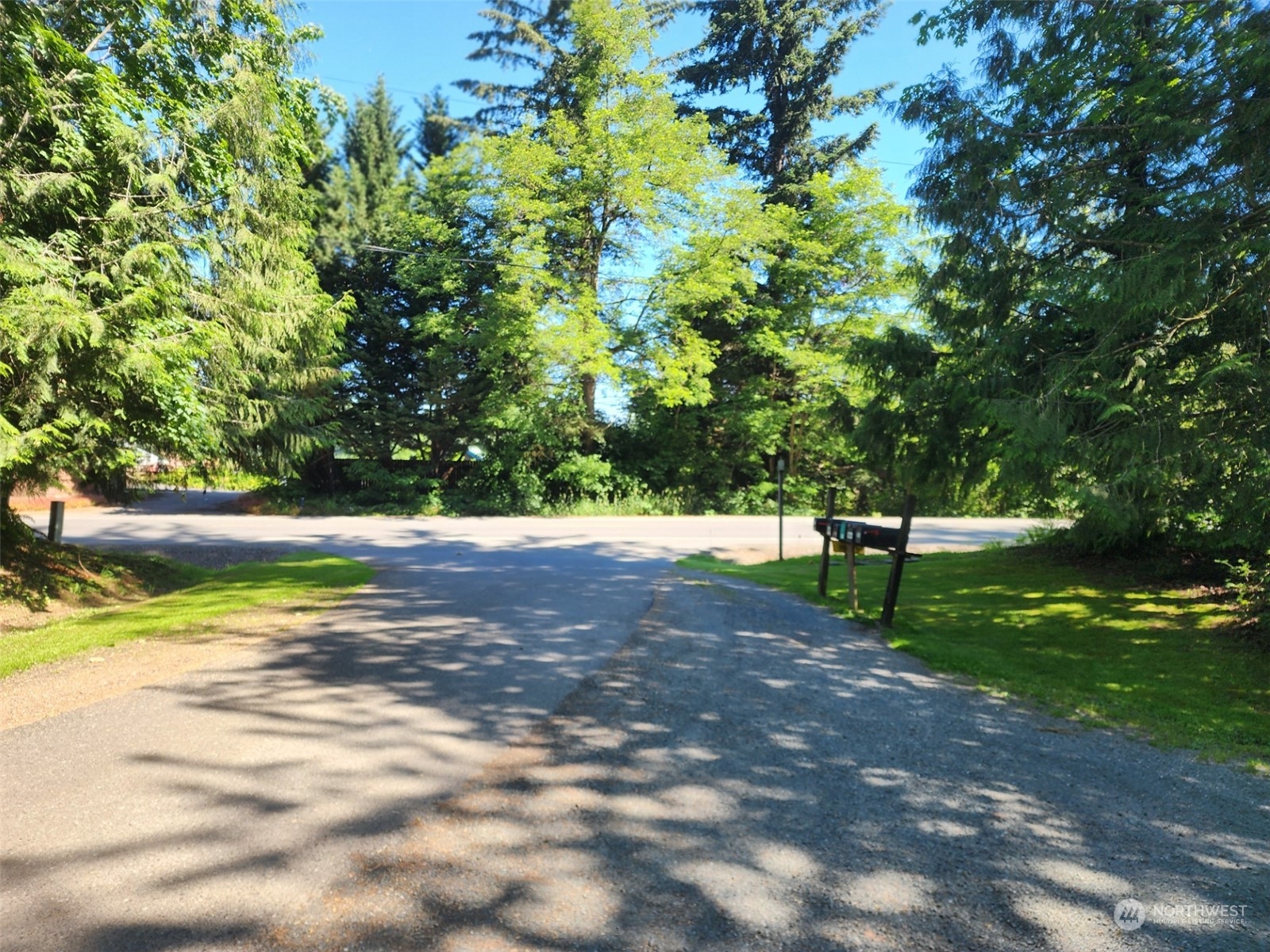 a view of a yard with a tree