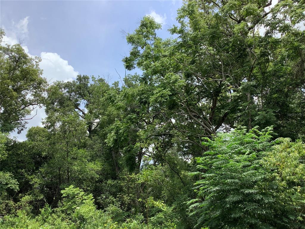 an aerial view of a house with lots of trees