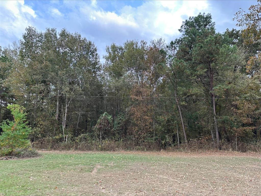 a view of a field with trees in the background