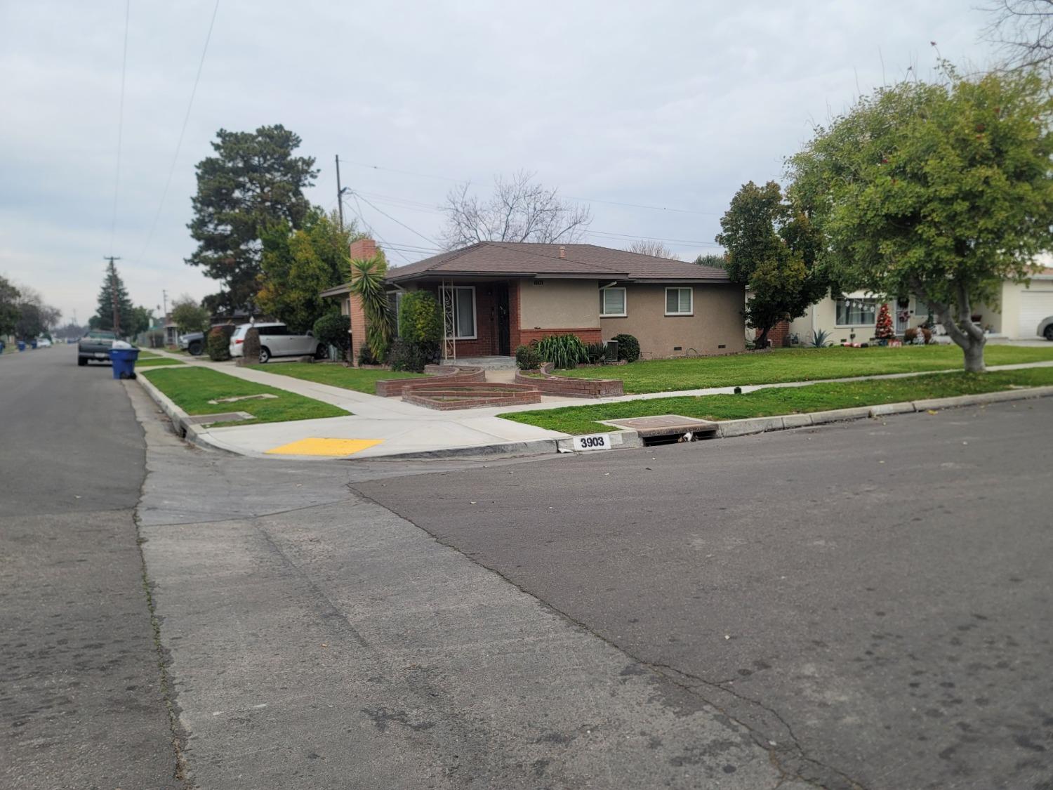 a white house with a yard and a large tree