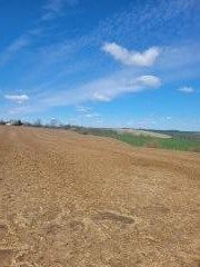 $400,000 | 45-ac Burr Oak | Mineral Point Town