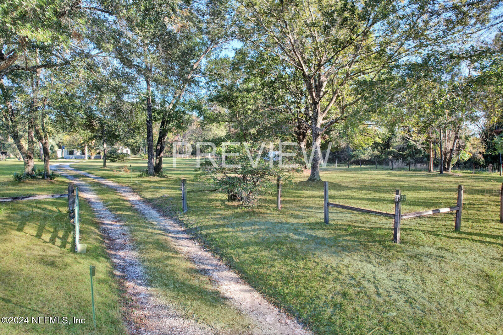 a view of a park with large trees