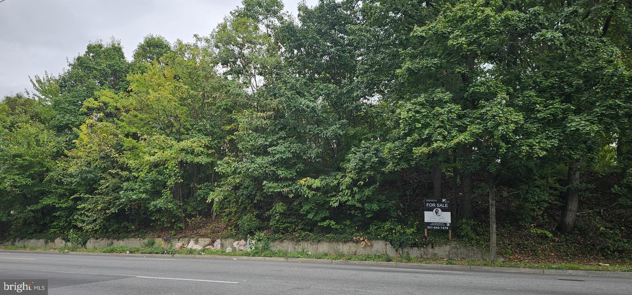 a view of a forest from a tree