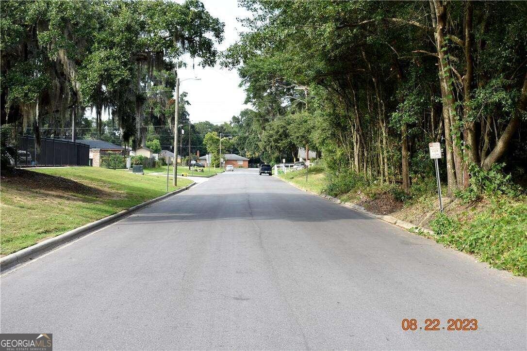 a view of a street with a large trees