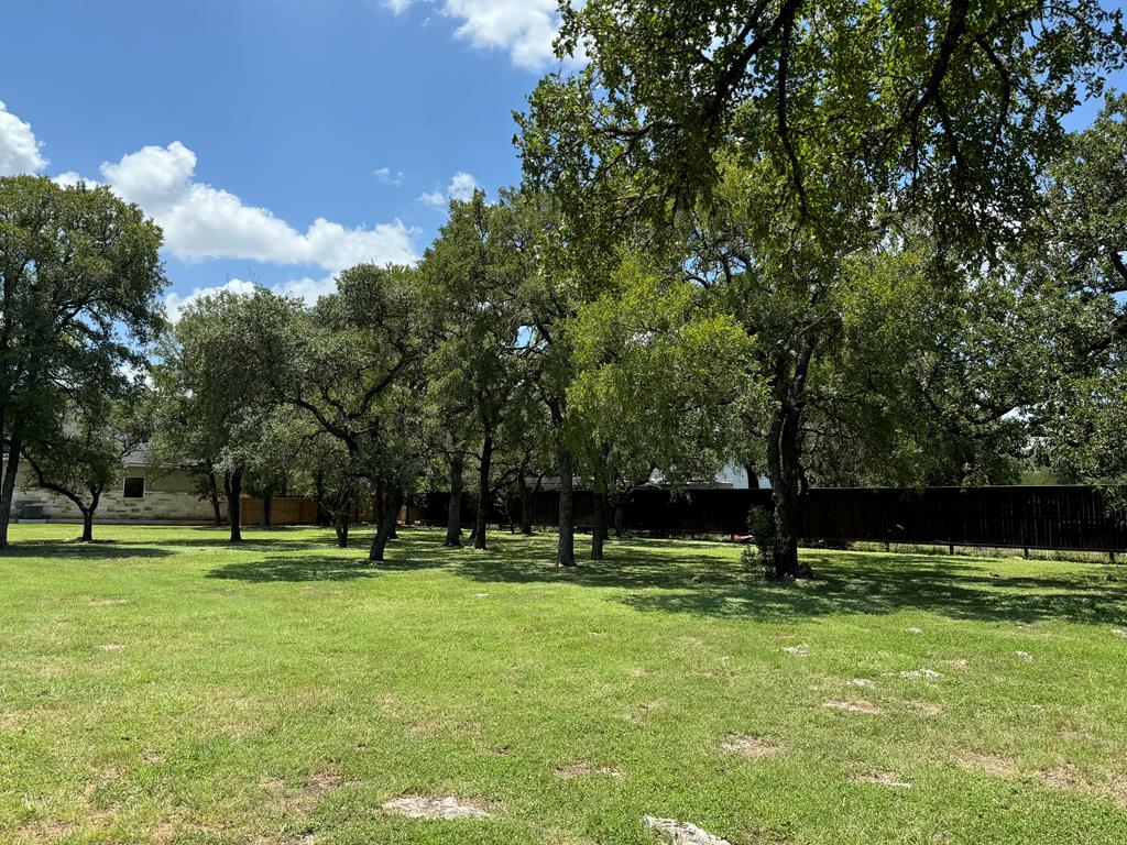 a view of park with trees