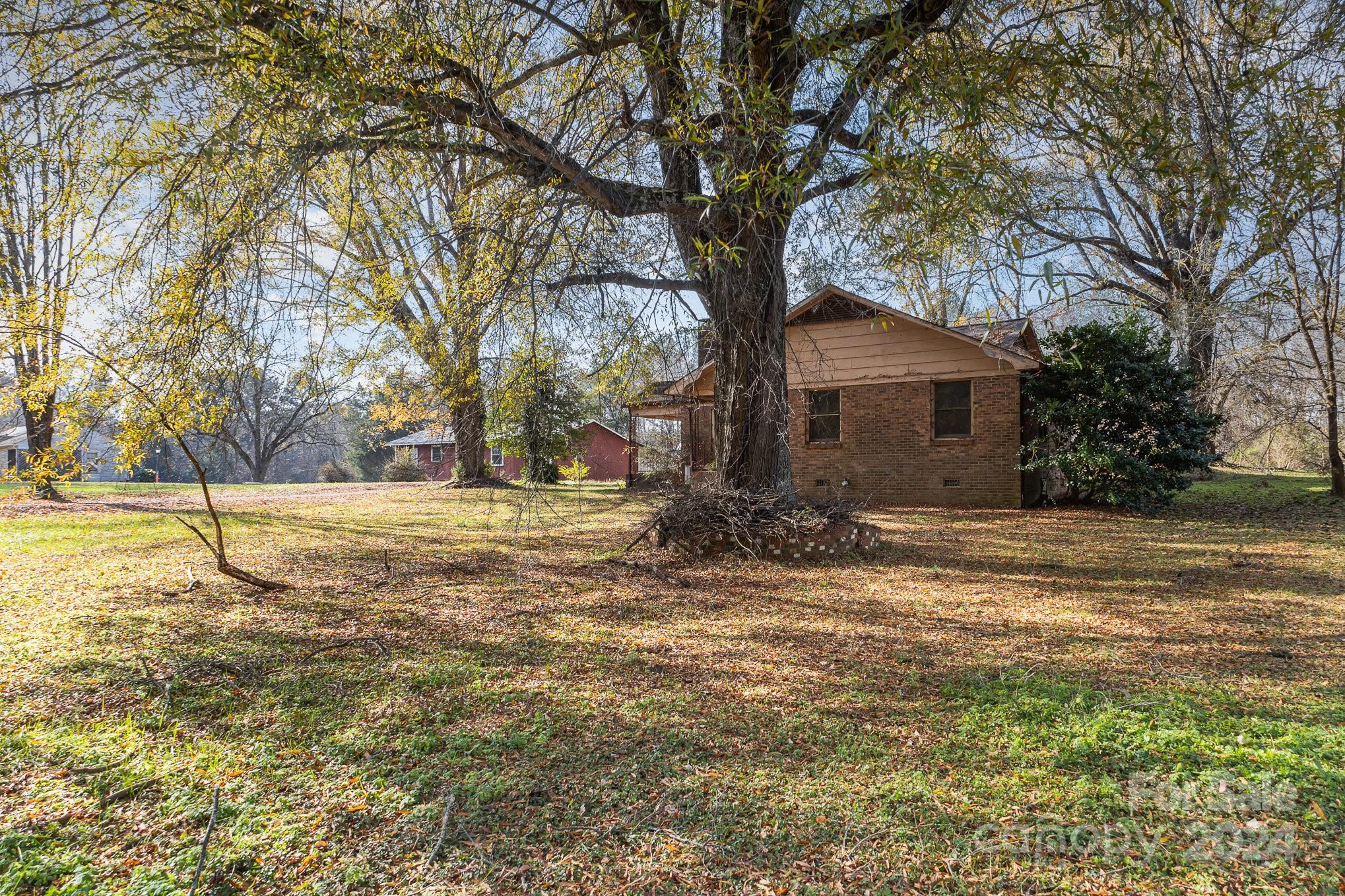 a view of a yard with a tree