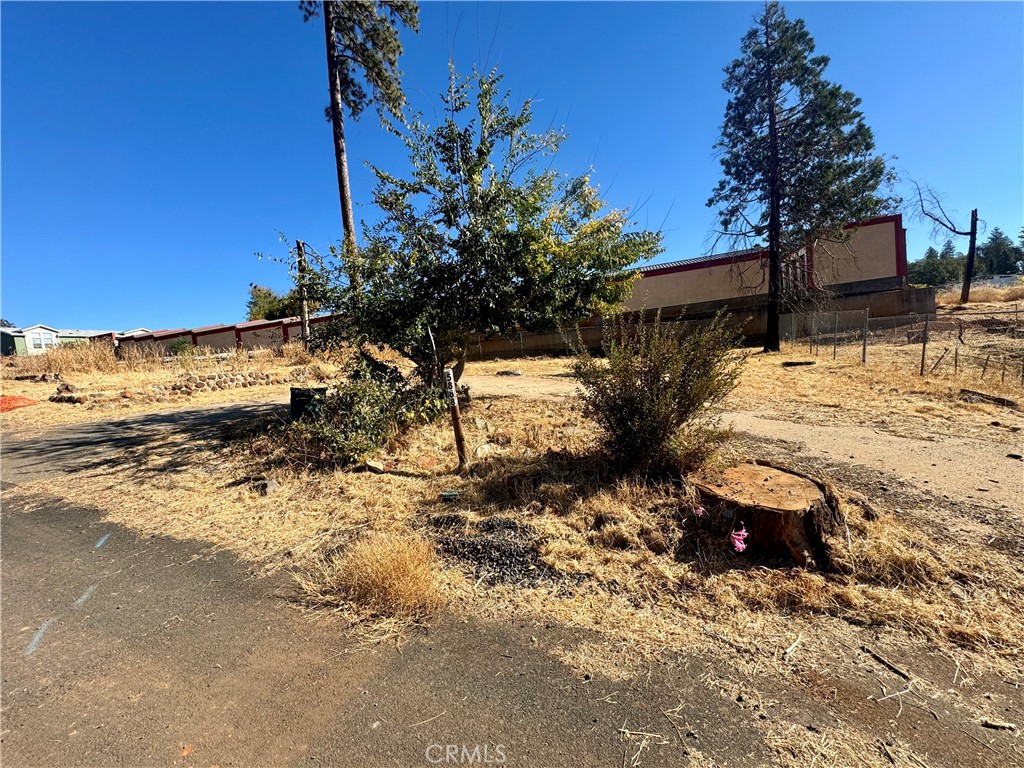 a view of a yard with wooden fence