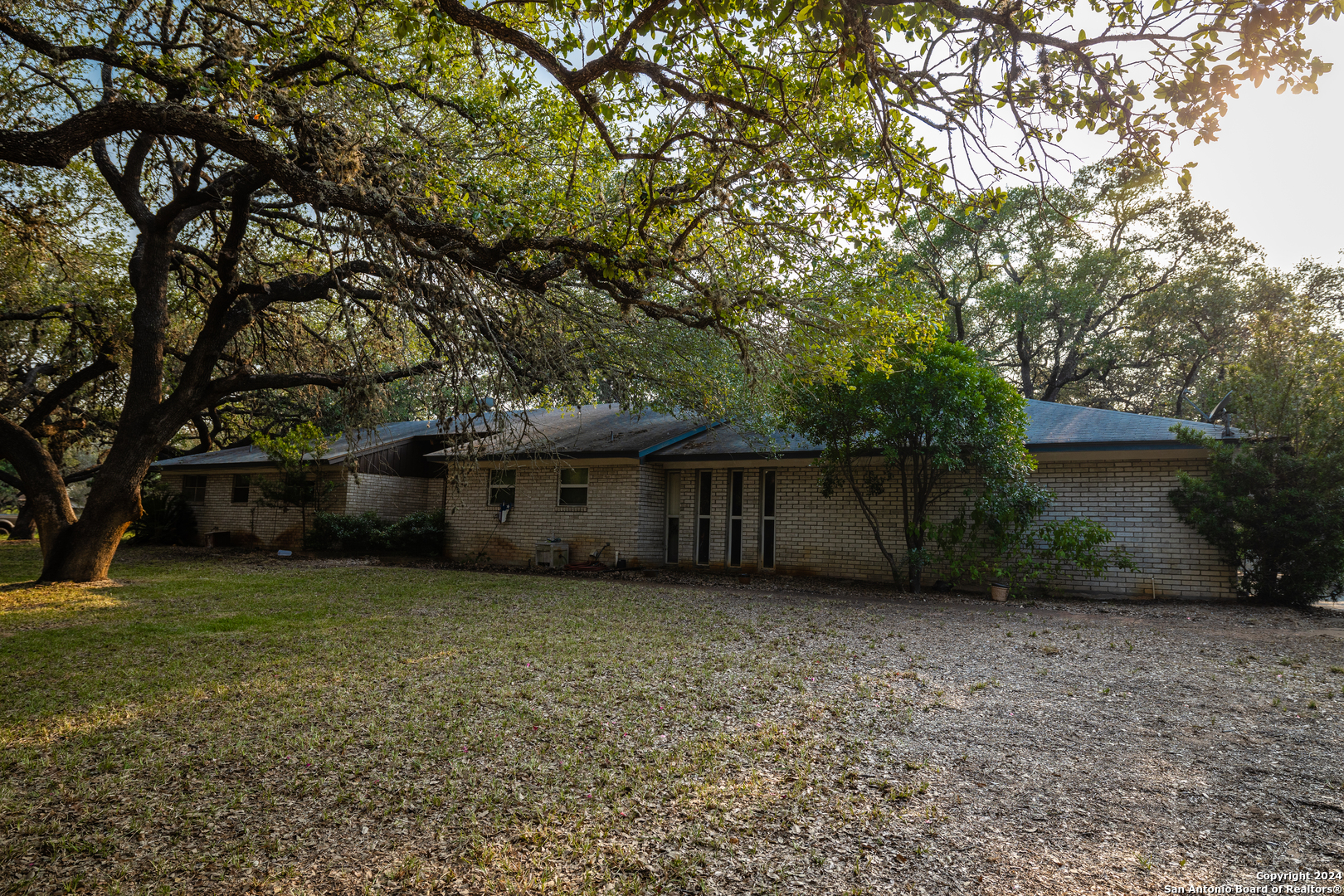 a view of a backyard