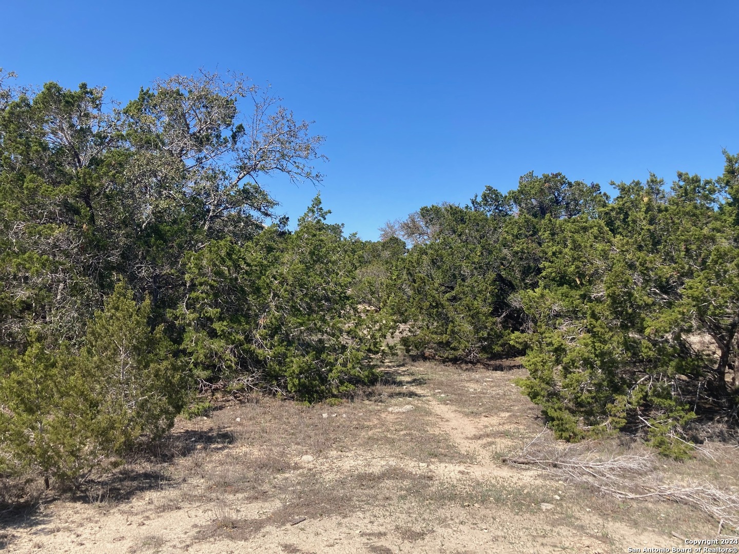 a view of a plants with trees in the background