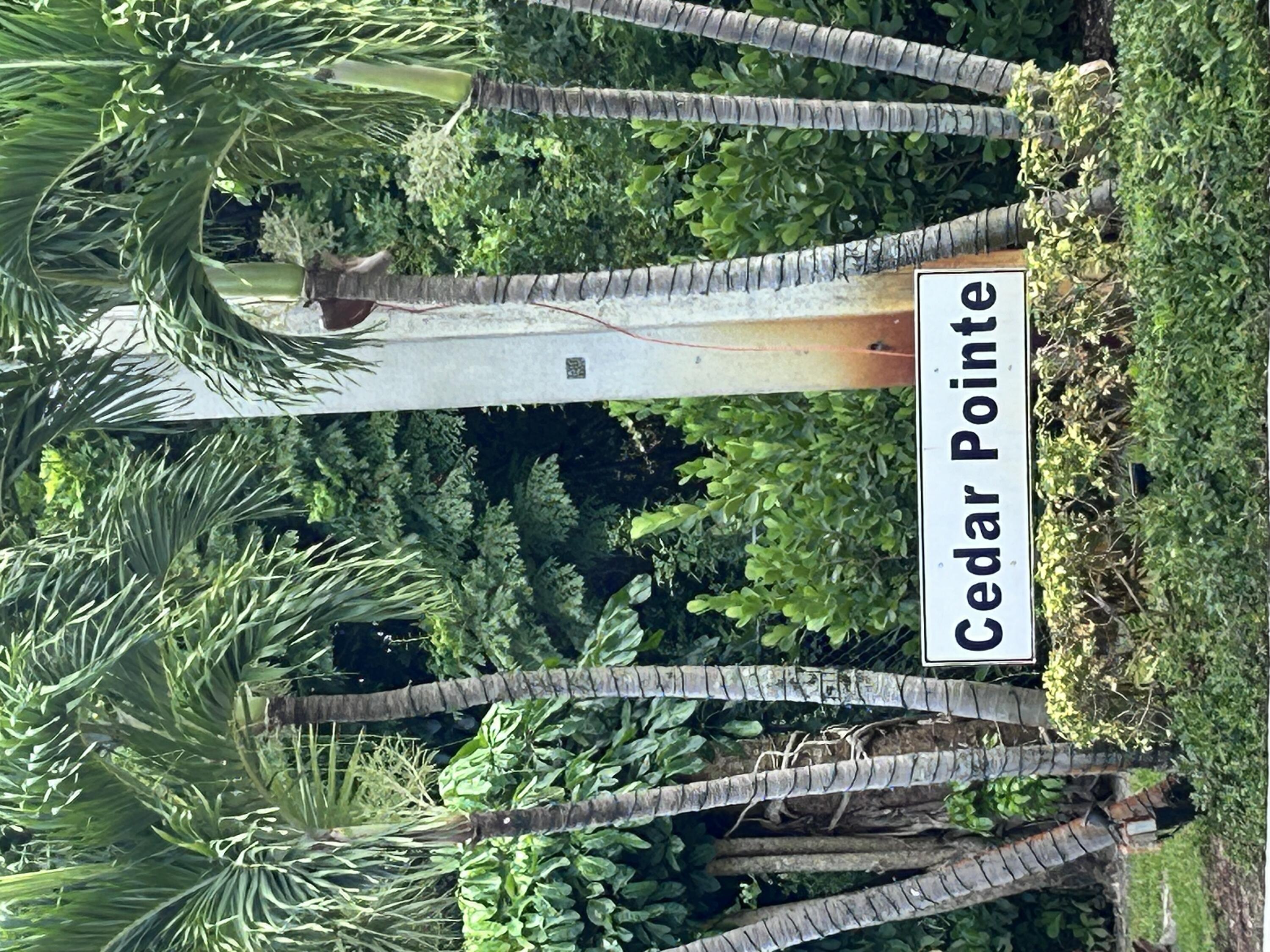 a view of a sign board with tall trees