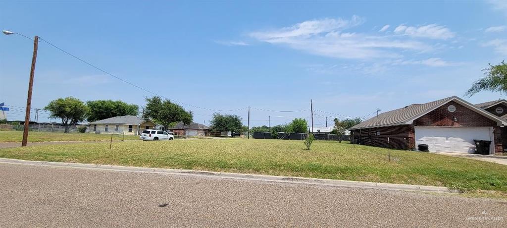 a view of a house with a big yard and a large tree