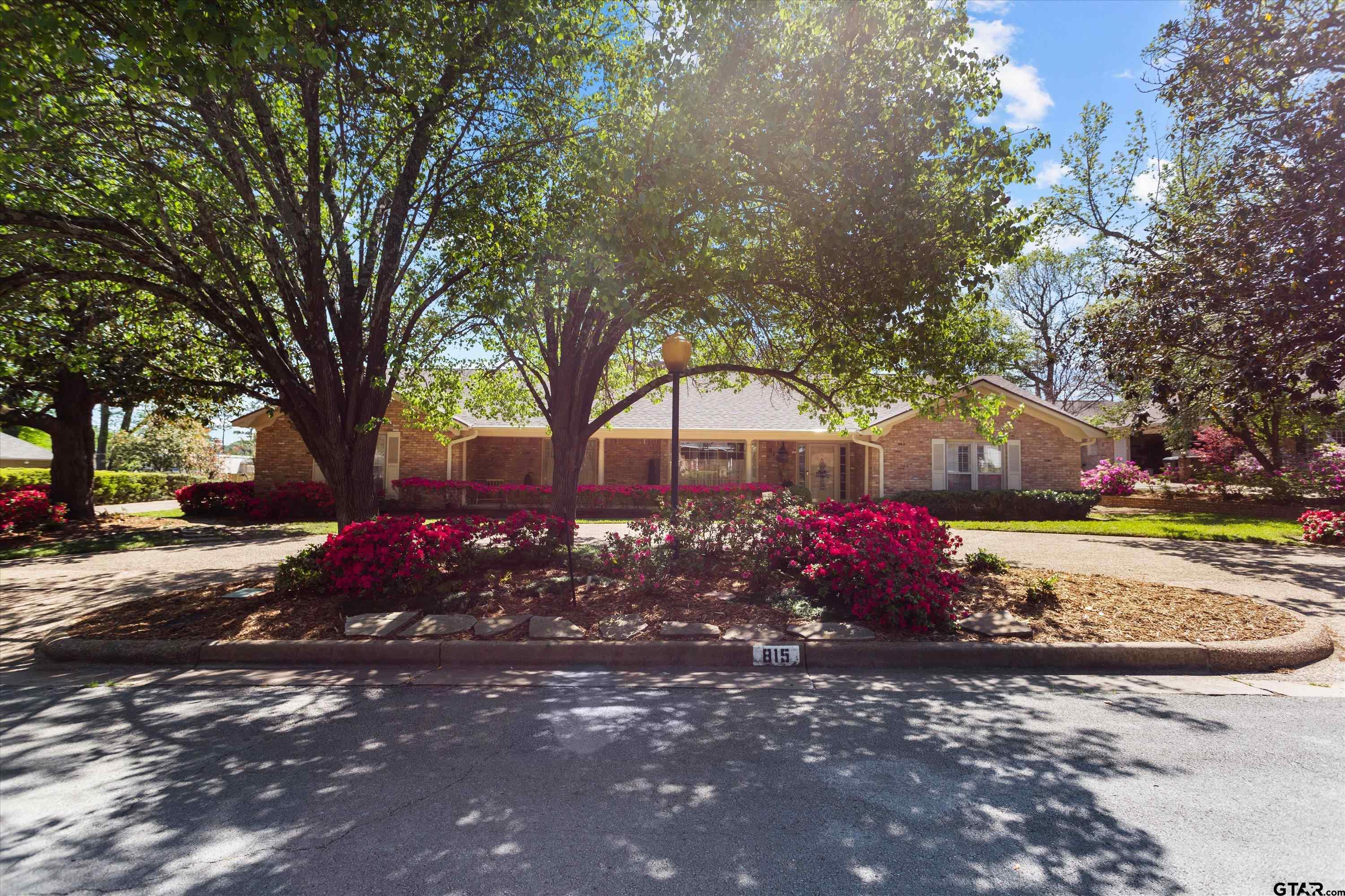 a view of a yard with street and trees