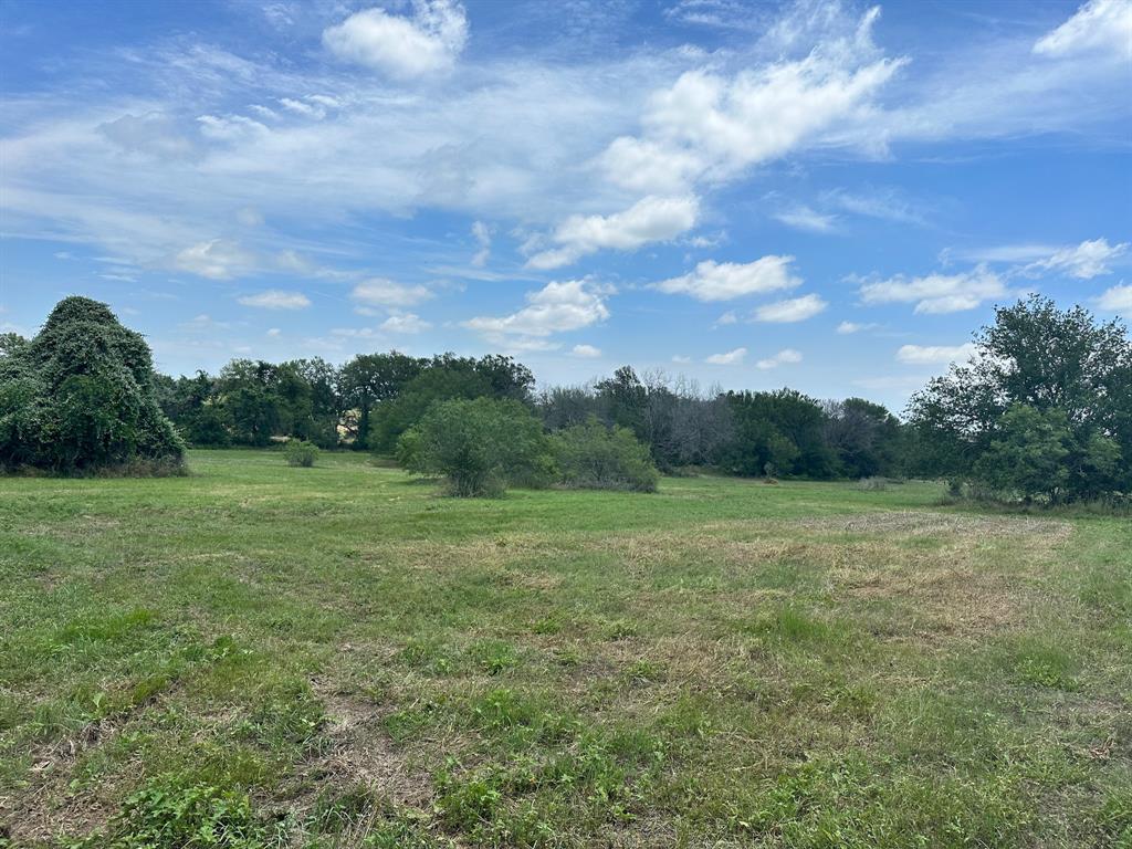 a view of outdoor space with field and trees in the background