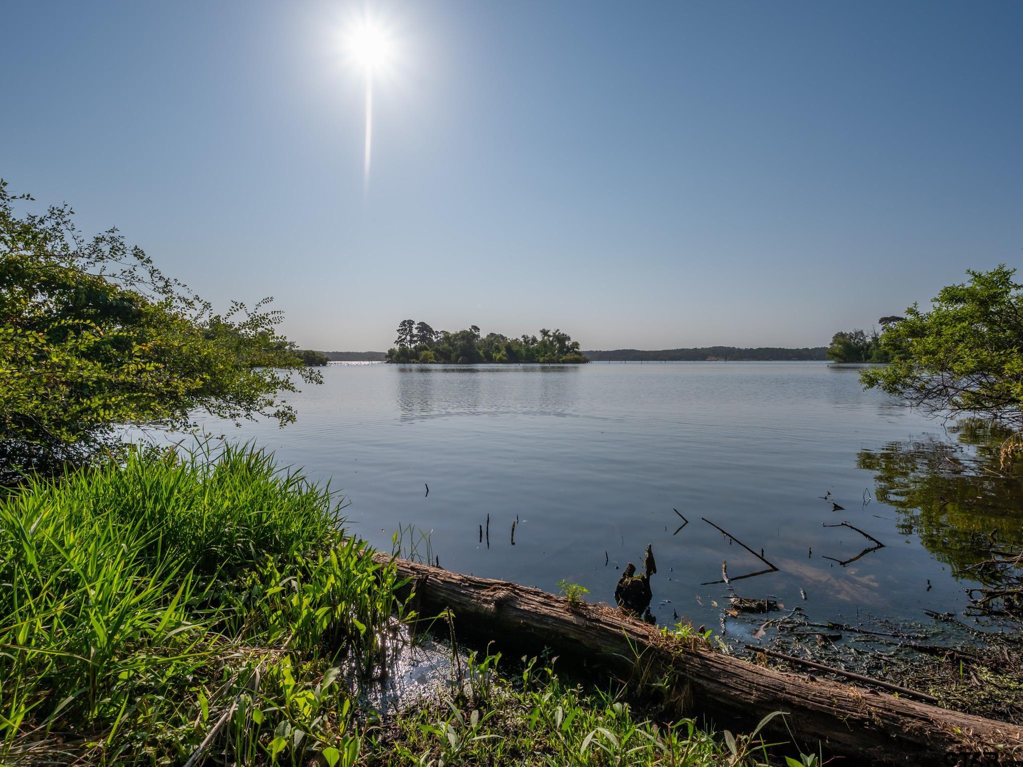 a view of a lake in middle of forest