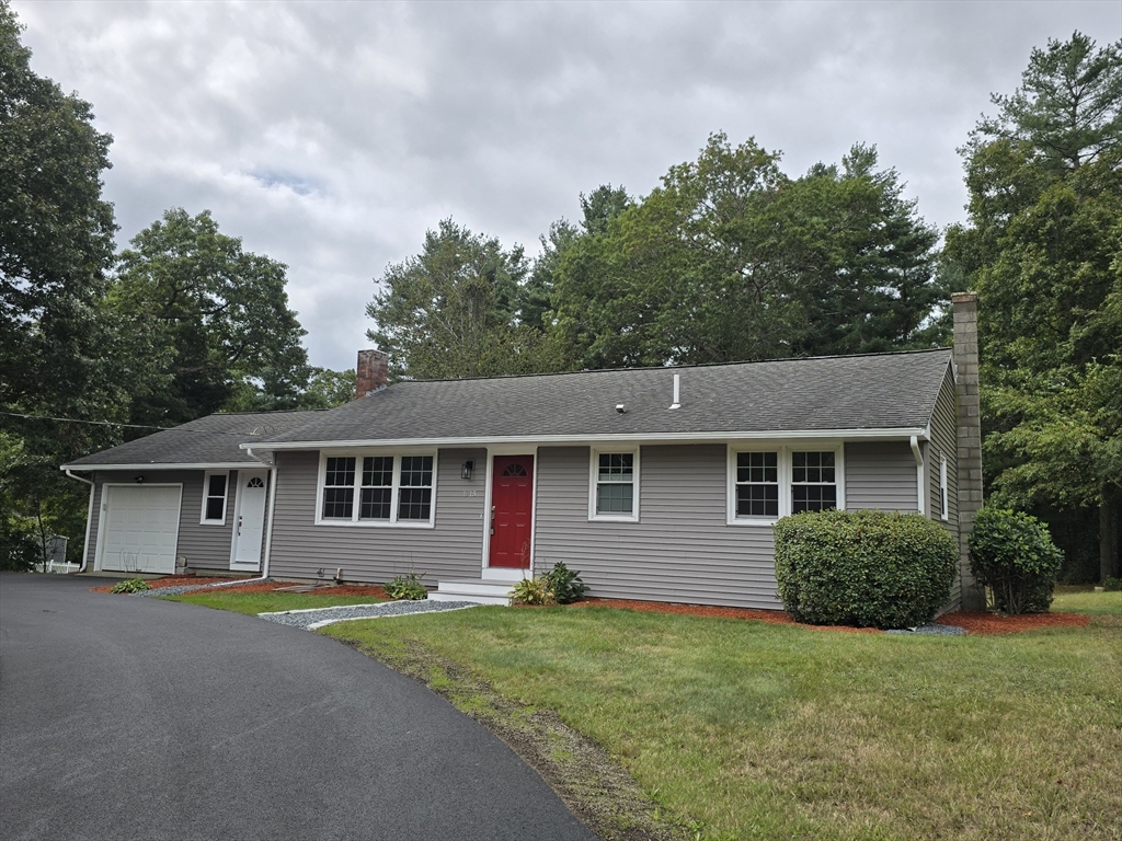 a view of outdoor with yard and large tree