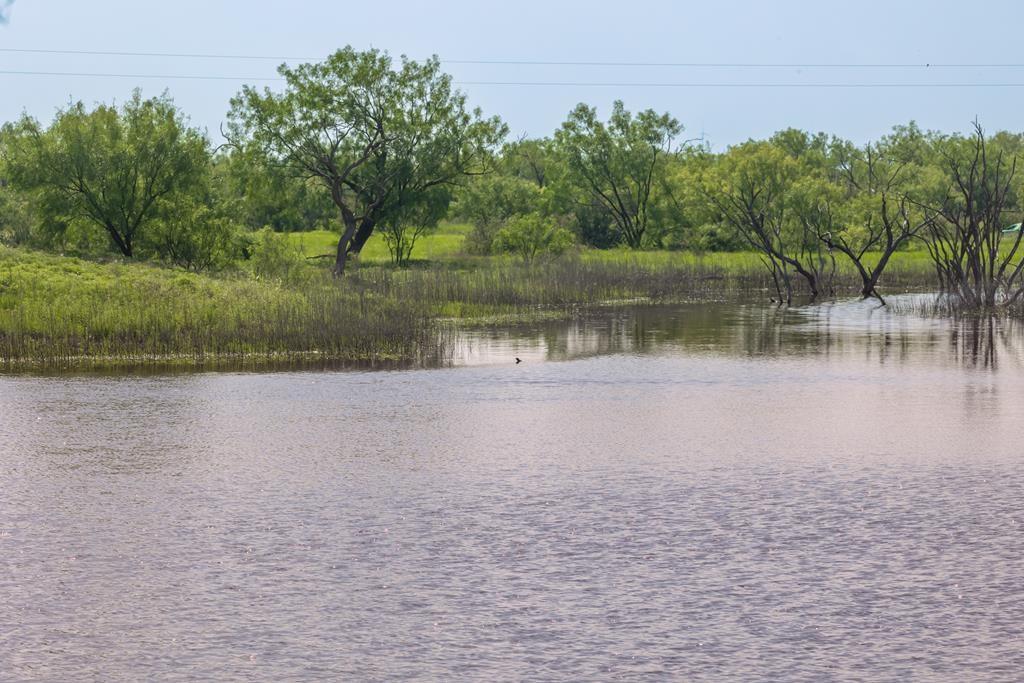 a view of a lake