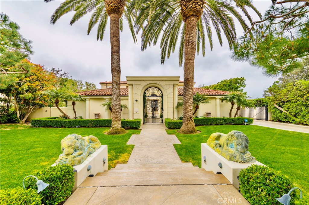 a front view of a garden with plants