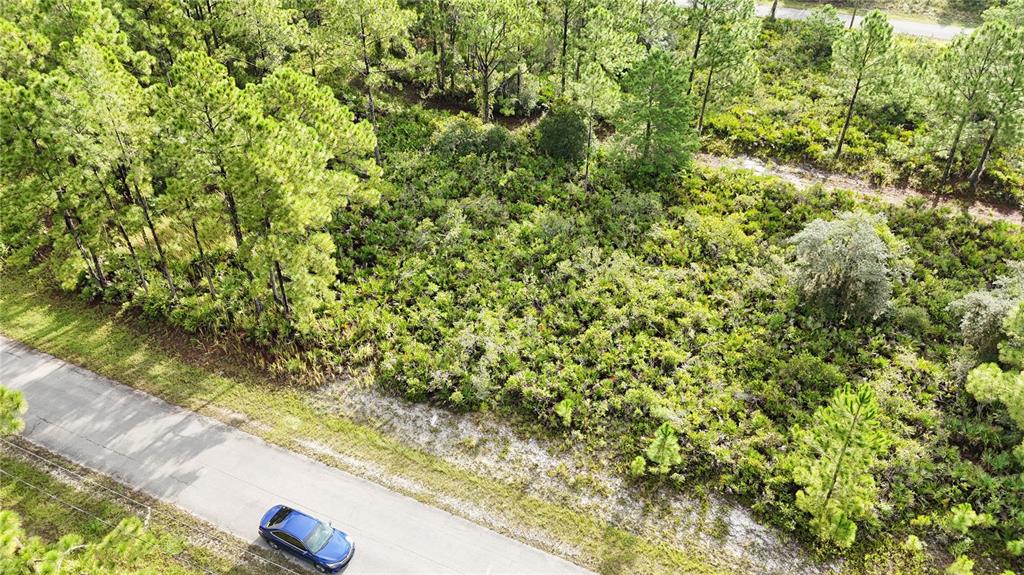 a view of a yard with a tree