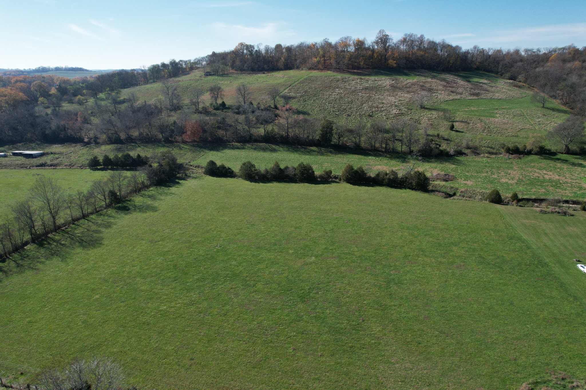 an aerial view of green landscape with trees