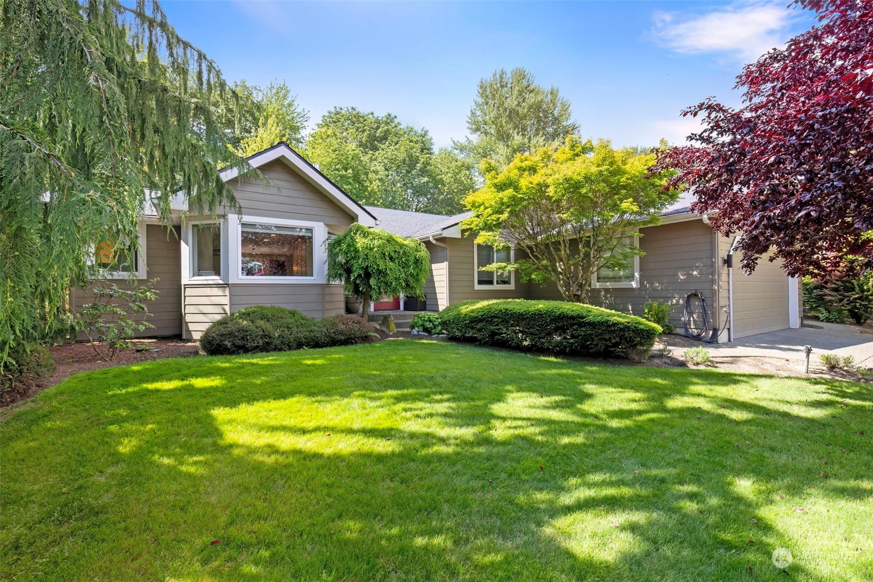 a view of a house with a big yard plants and large trees