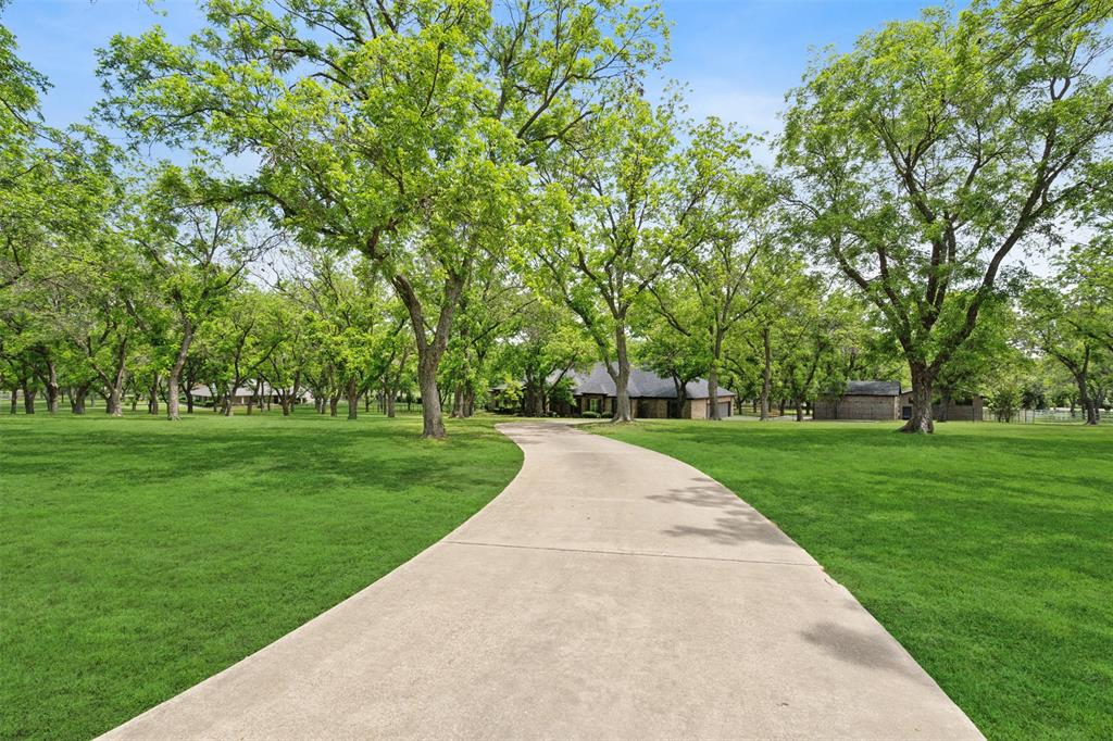 a view of a park with trees and a lake