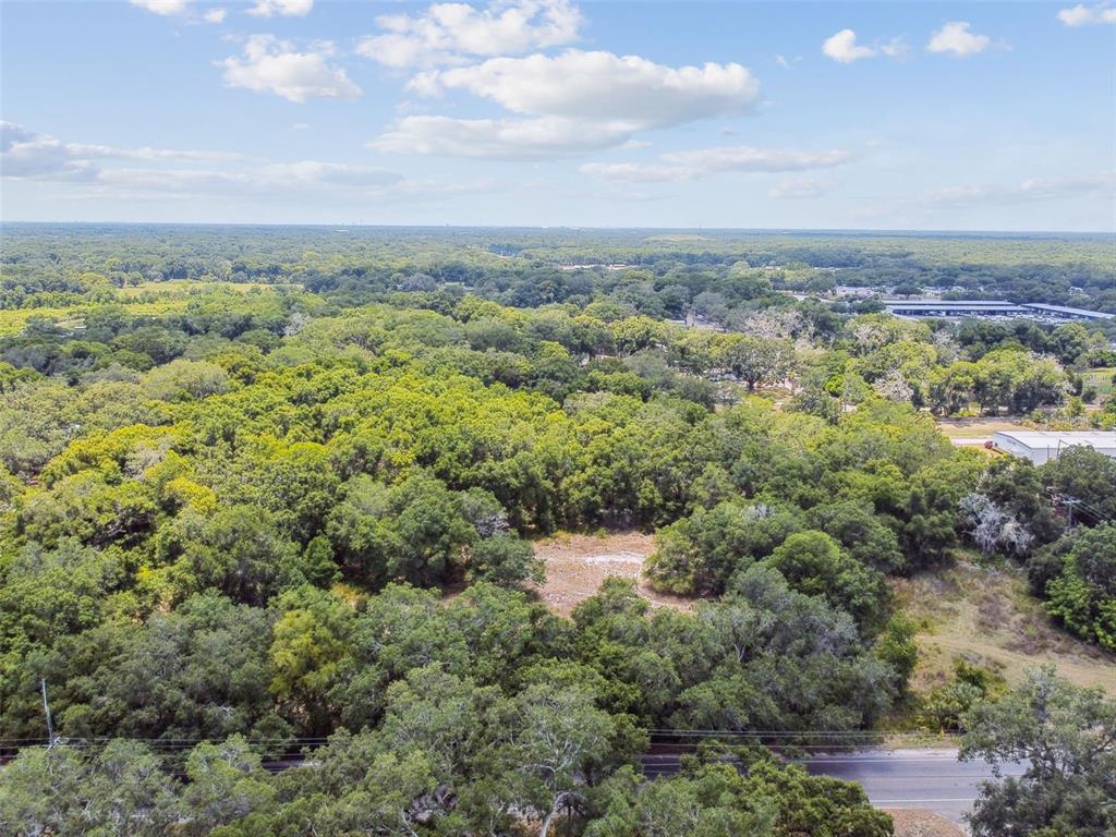 an aerial view of houses covered in trees