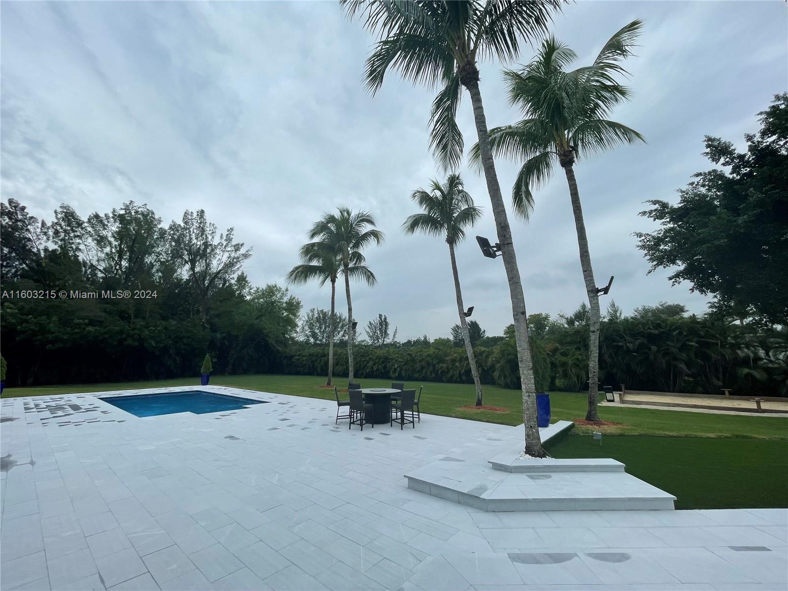 a view of a park with palm trees