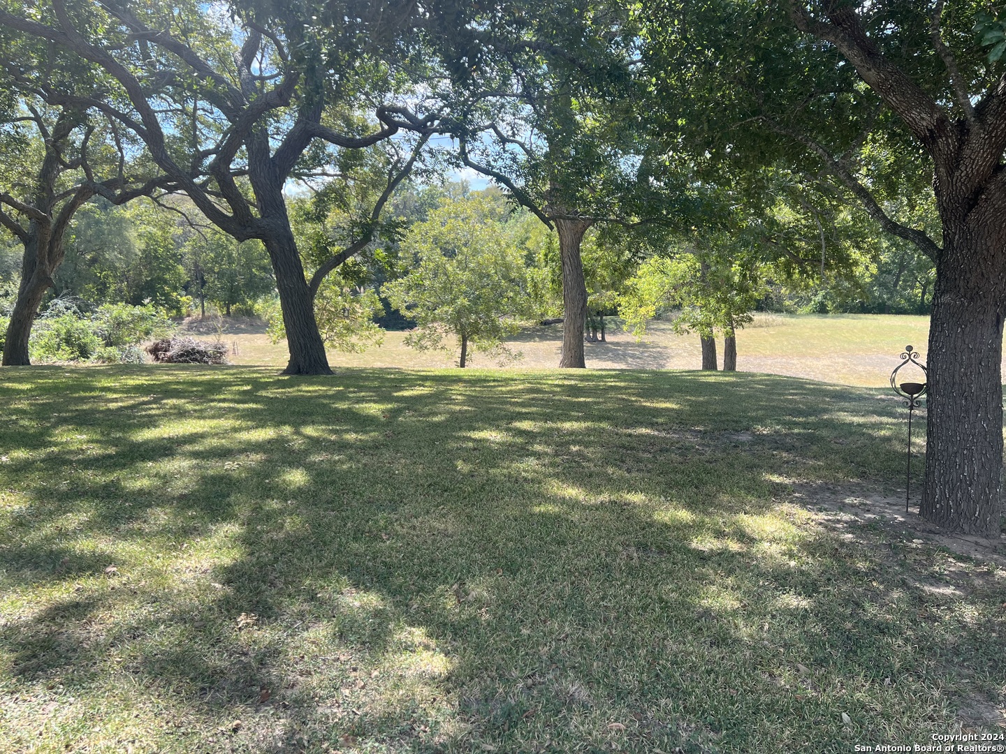 a view of a yard with a tree