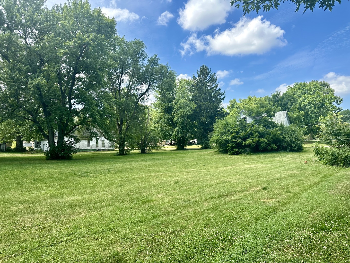 a view of a field of grass and trees