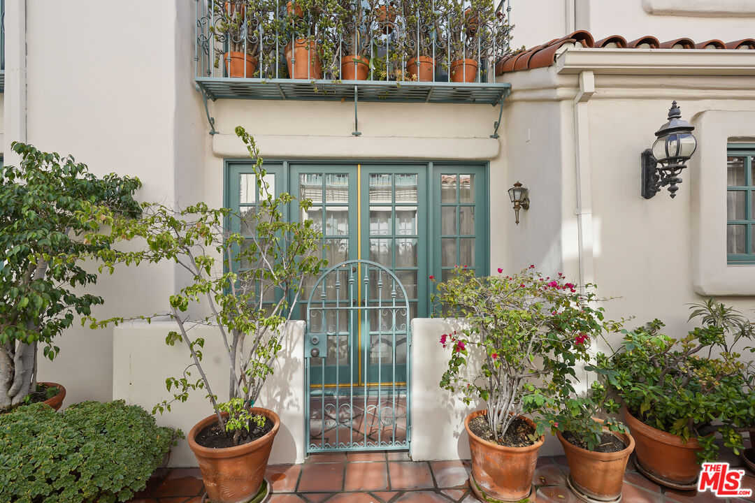 a view of a potted plant in front of a house