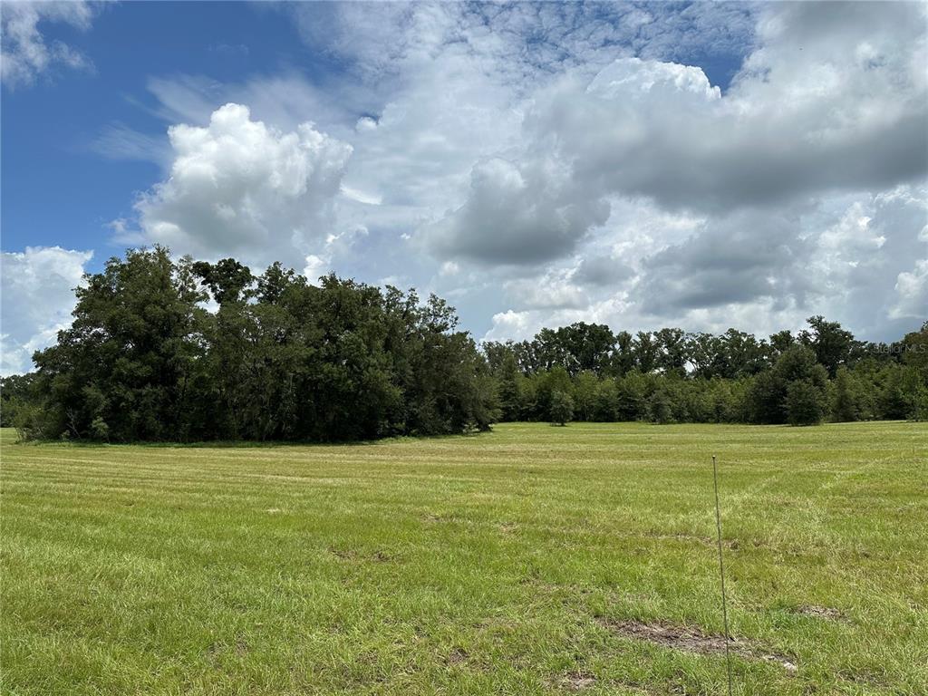 a view of a grassy field