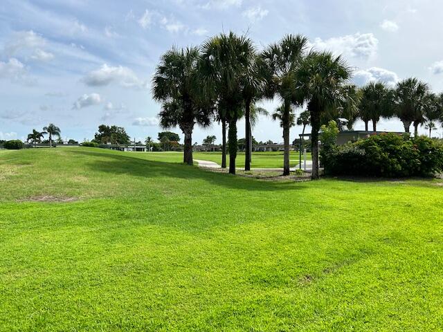 a view of a park with large trees