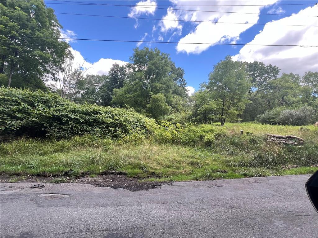 a view of a yard with a tree