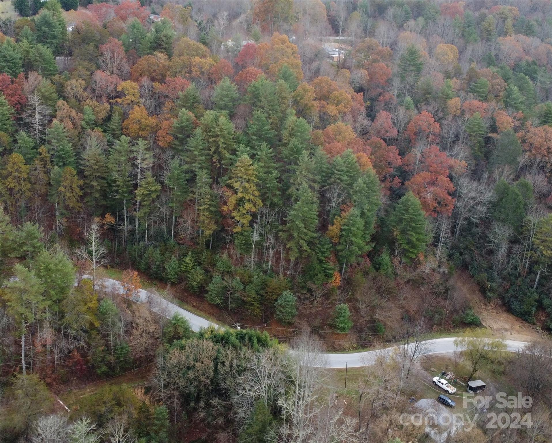 a view of a forest with a yard