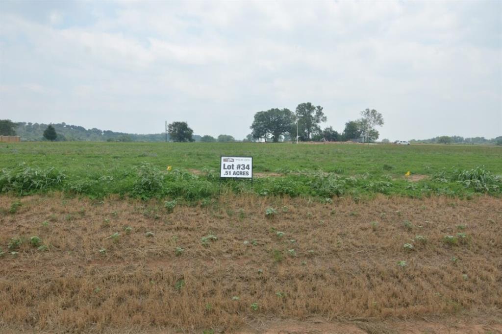 a view of a field with grass and trees