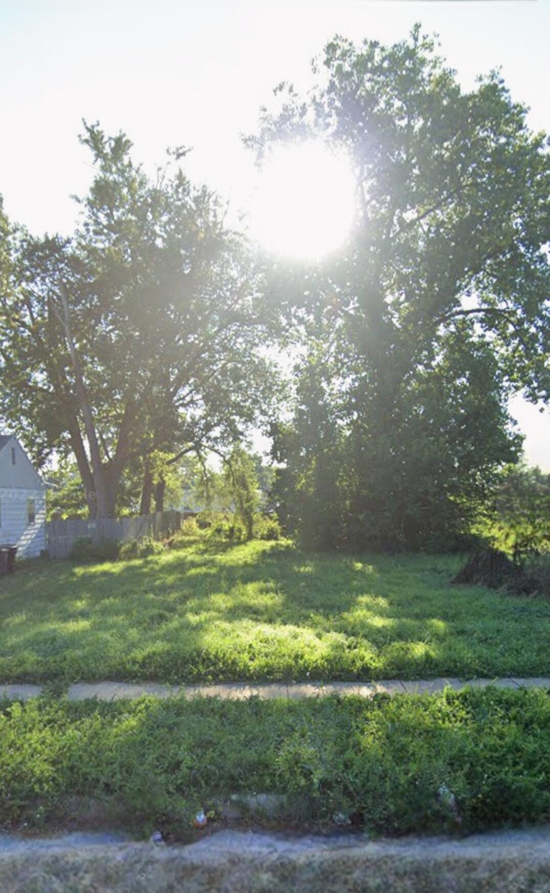 a view of a lake from a yard