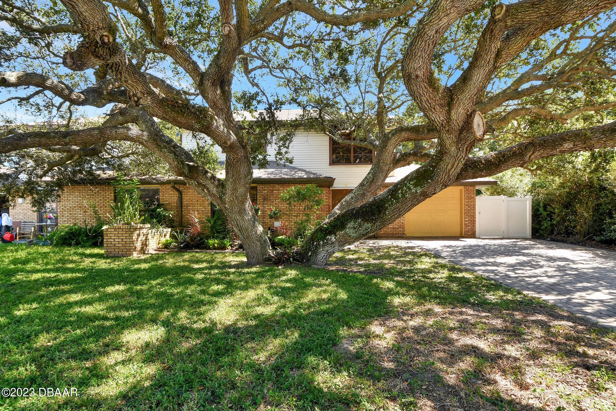 a backyard of a house with table and chairs and a large tree