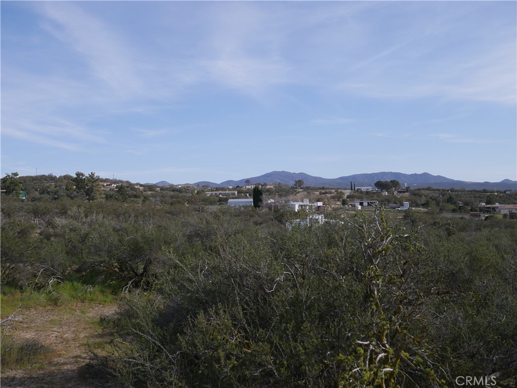 a view of a city with lush green forest