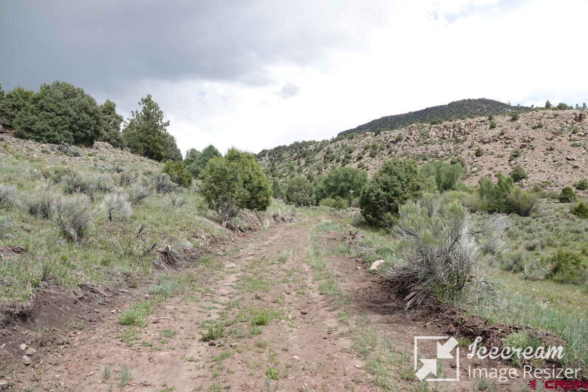 a view of a dry field