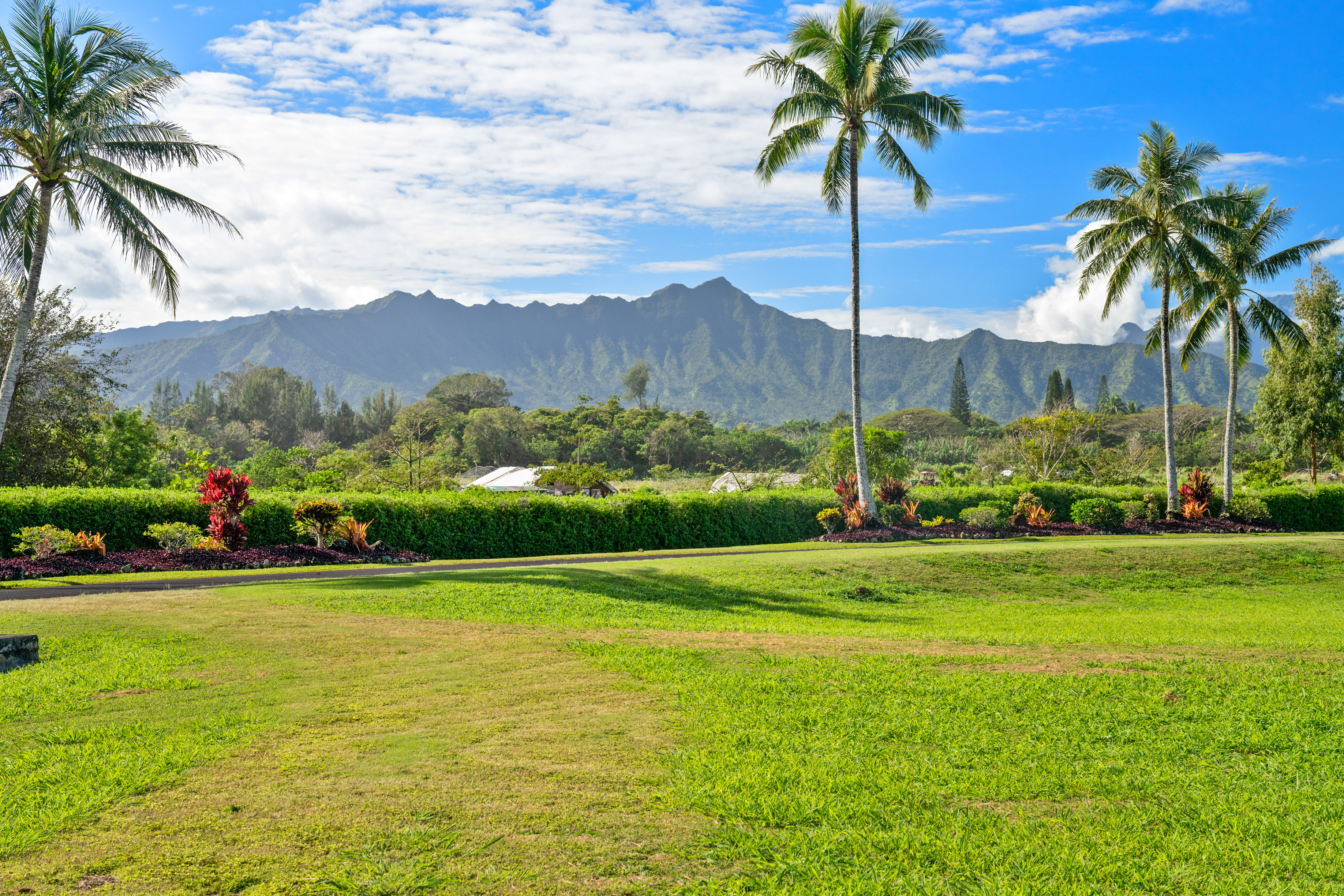 a view of a garden and mountains