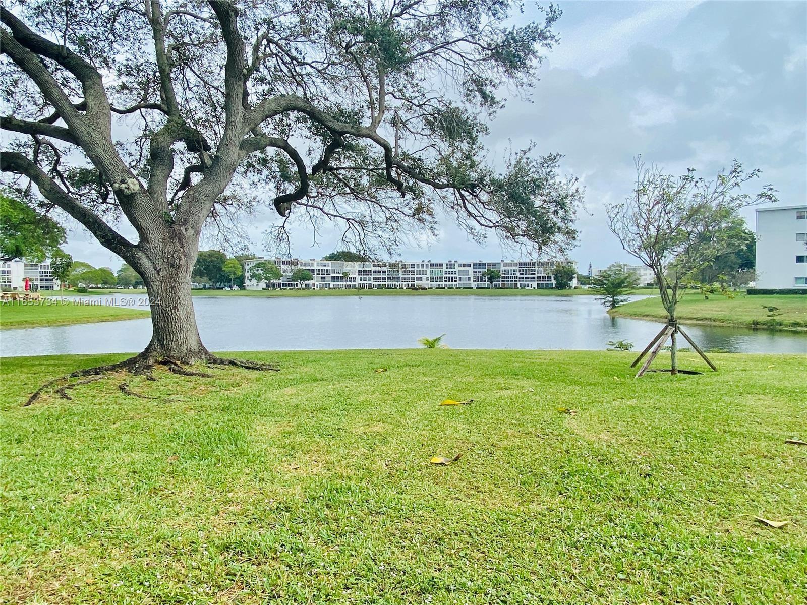 a view of a yard with a tree