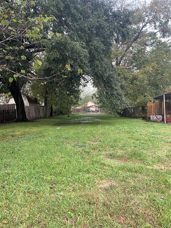 a view of a yard with a trees